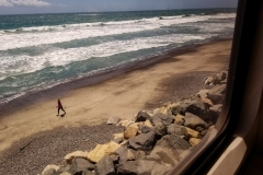 Tracks just next to the beach