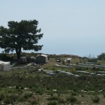 honey farm on the lycian way - Turkey